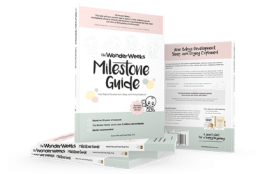 Baby size in week 19: Miestone guide book
