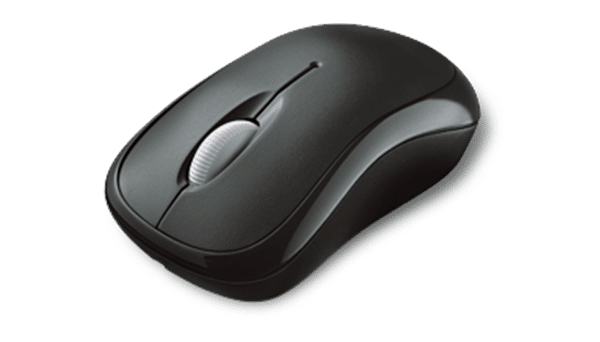 Baby size in week 15: Computer Mouse