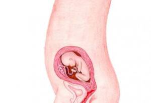 Pregnancy Week 20: Do you feel your baby already?