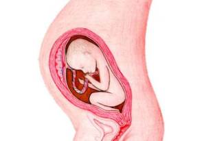 Pregnancy Week 30: Suffer from your lower back and pelvis