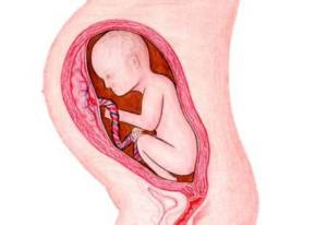 Pregnancy Week 35: Is your tummy baby already descended?