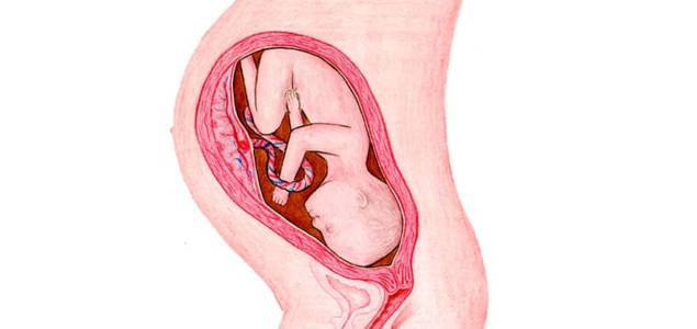 Pregnancy Week 36: Separation or amniotic fluid?