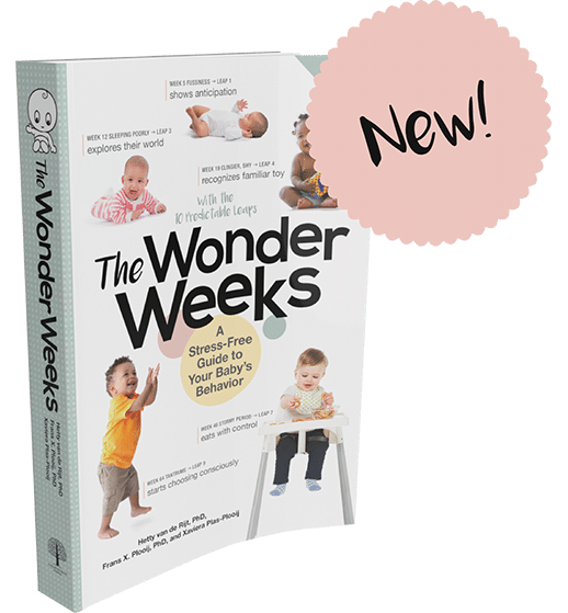 wonder weeks book big w